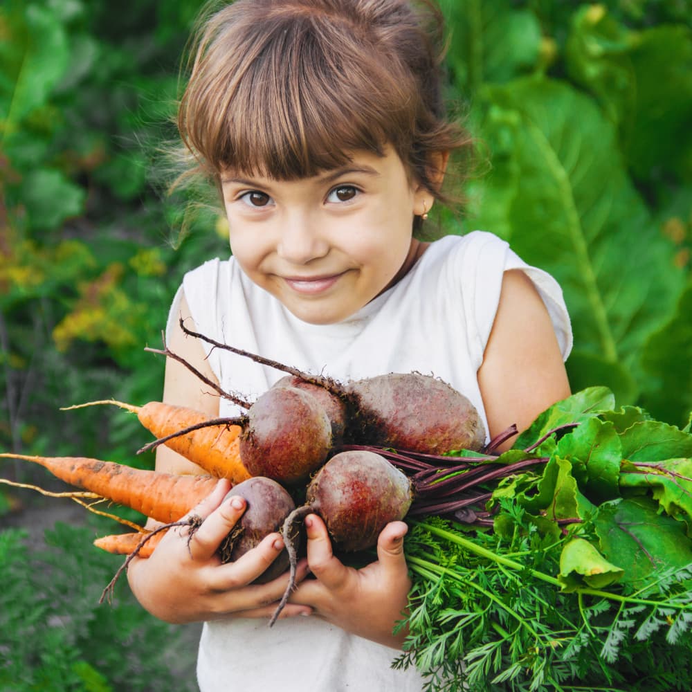 A young girl holds freshly picked vegetables from the garden